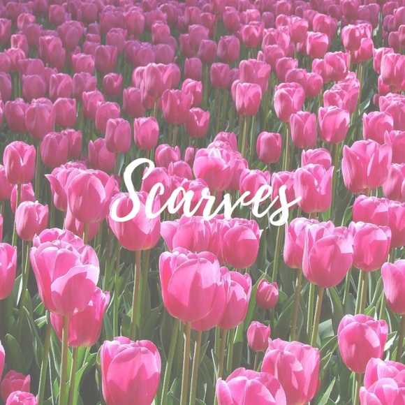 Scarves - Picture 1 of 1